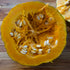 Ayeyarwady Delta Maxima Squash